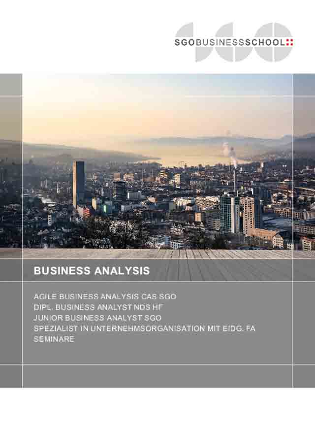 Titelseite Broschüre Business Analysis Titelseite Broschüre Business Analysis