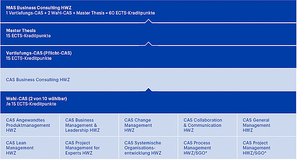 MAS Business Consulting (HWZ)