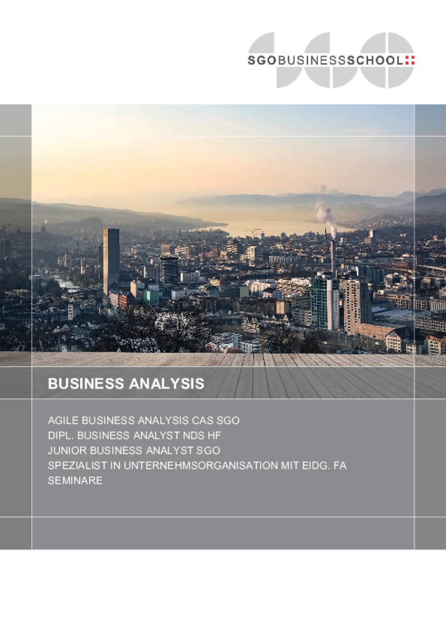 Business Analysis Broschüre