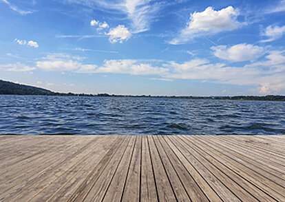 Business Analysis - Auf einen Blick Business Analysis - Auf einen Blick