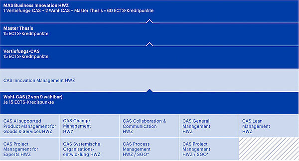 MAS Business Innovation (HWZ)