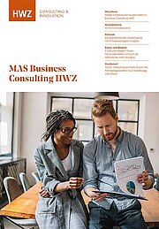 Factsheet MAS Business Consulting HWZ
