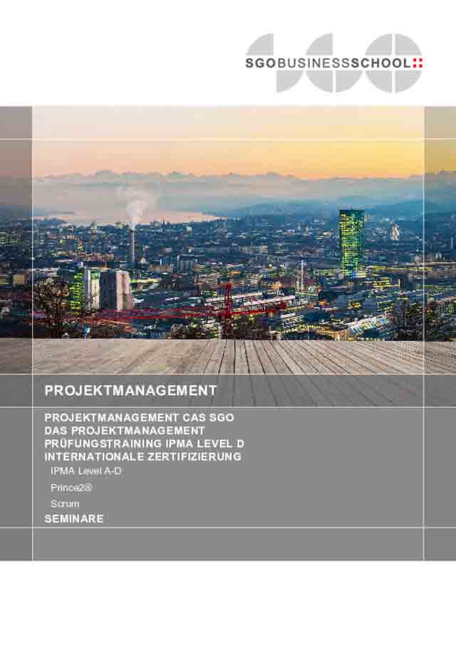 Titelseite Broschüre Projektmanagement